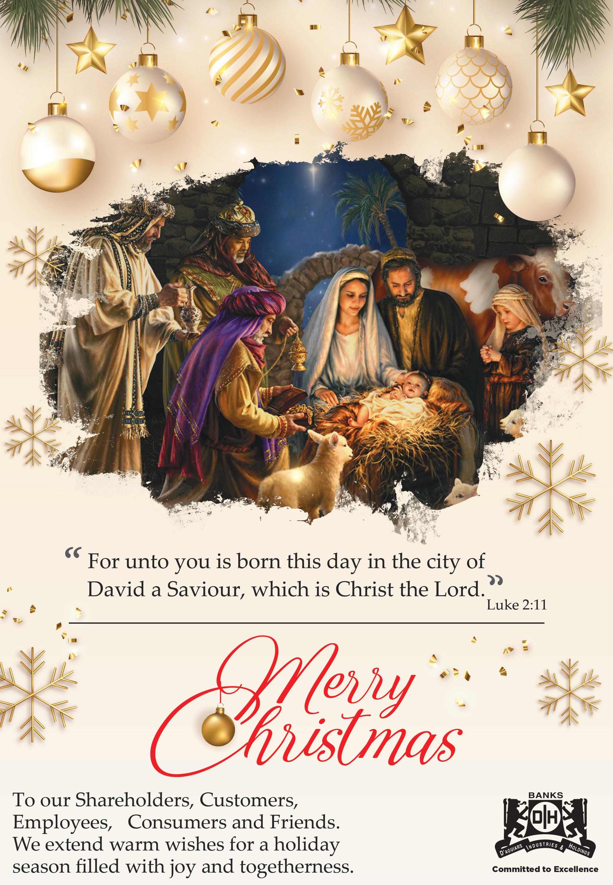 Banks DIH Wishes you a Merry Christmas | Banks DIH Ltd.