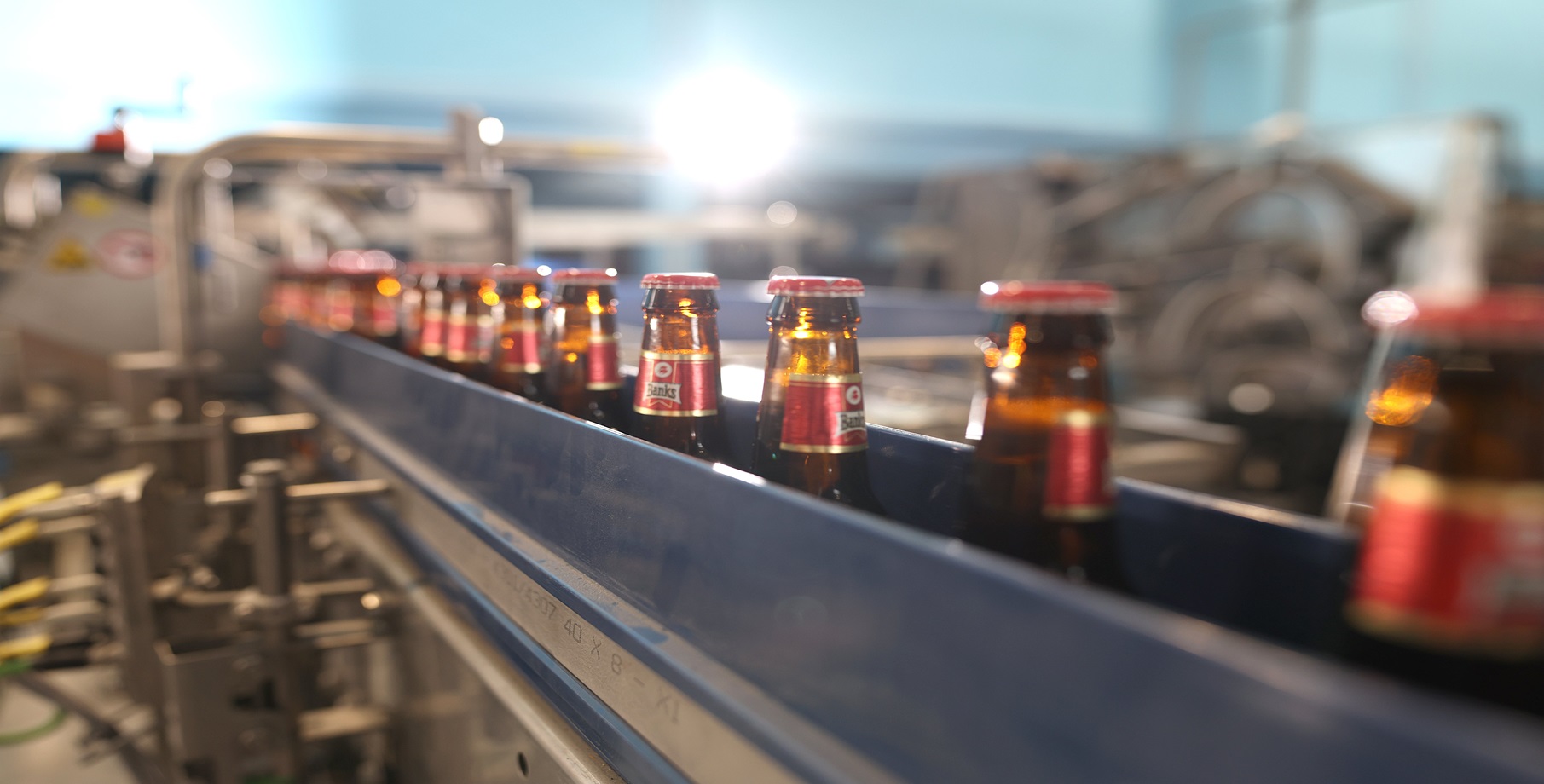 Banks Beer in production